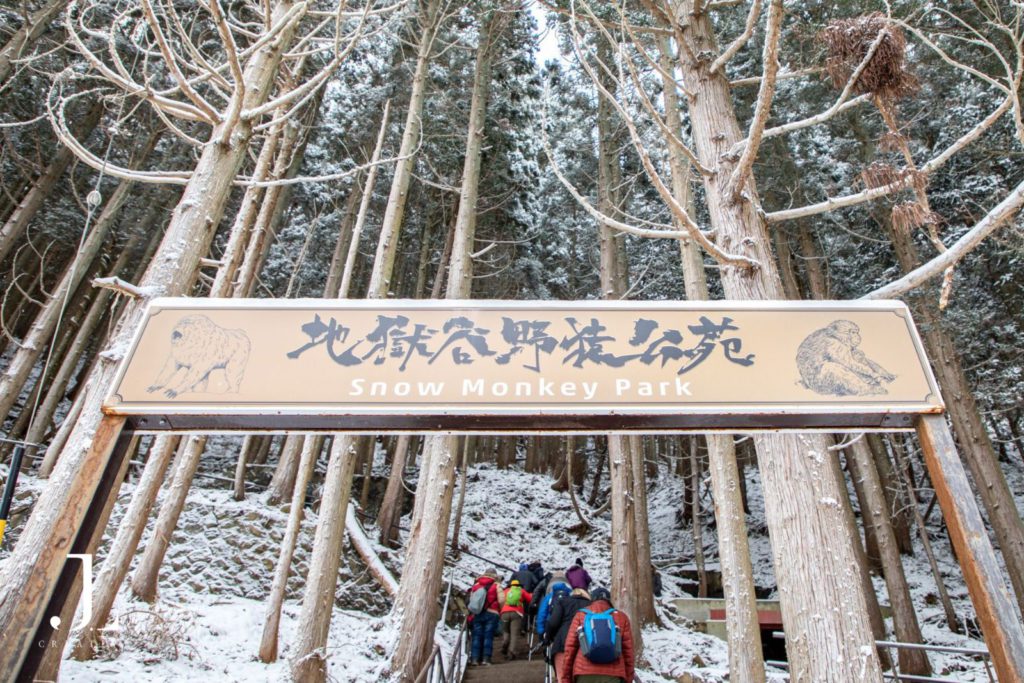 Wildlife and Cultural Photography Japan