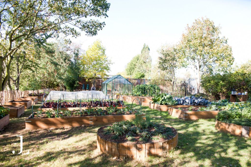 Tidy wooden raised garden beds with flourishing plants in a Mind mental health community project in London.