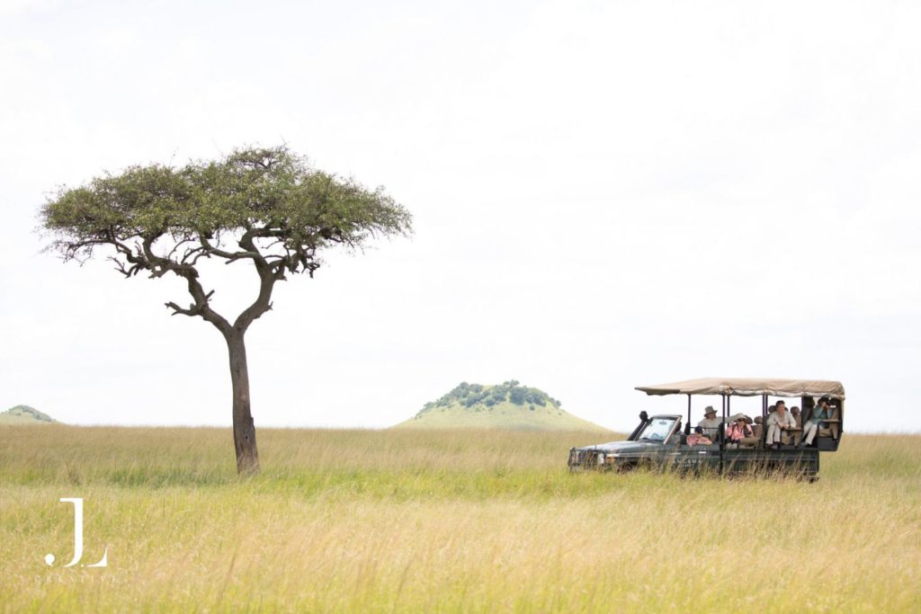 Kenya safari photography