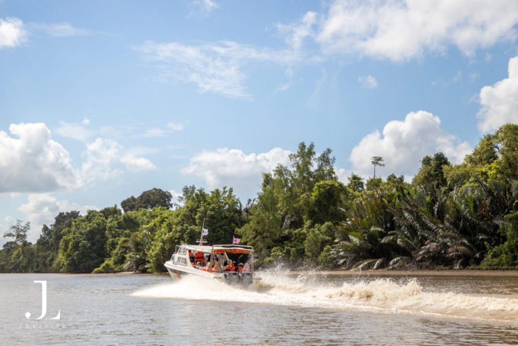 Luxury wildlife travel photography Borneo