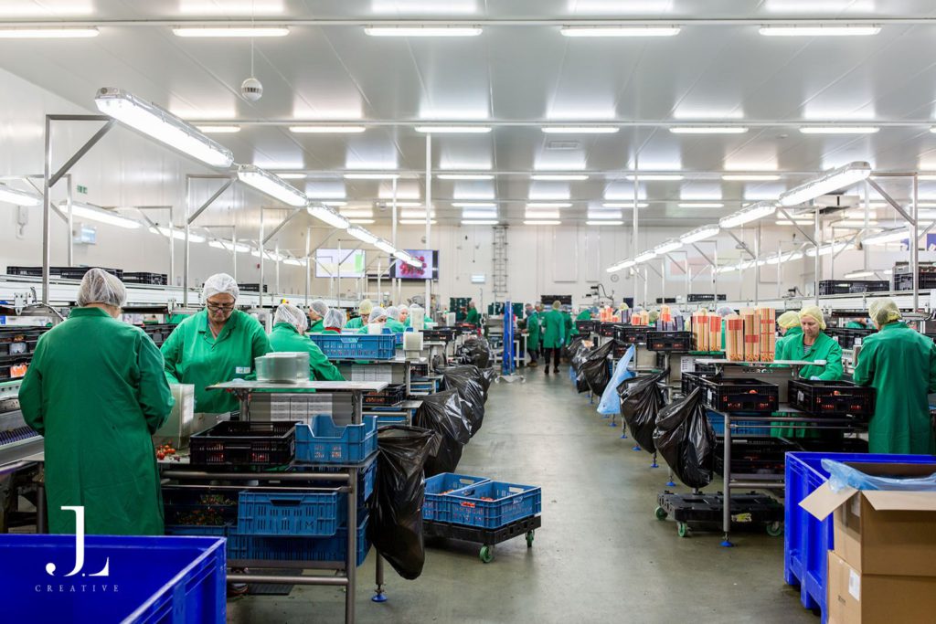 industrial food production photography UK