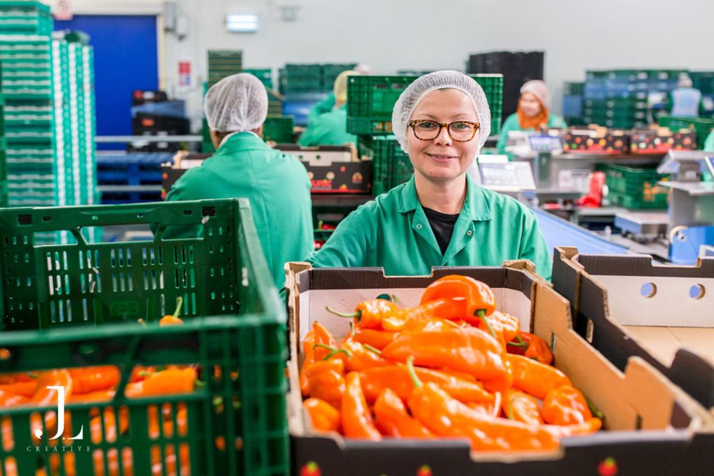 industrial food production photography UK