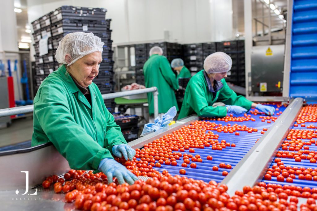 industrial food productionThanet Earth Kent photography photography UK