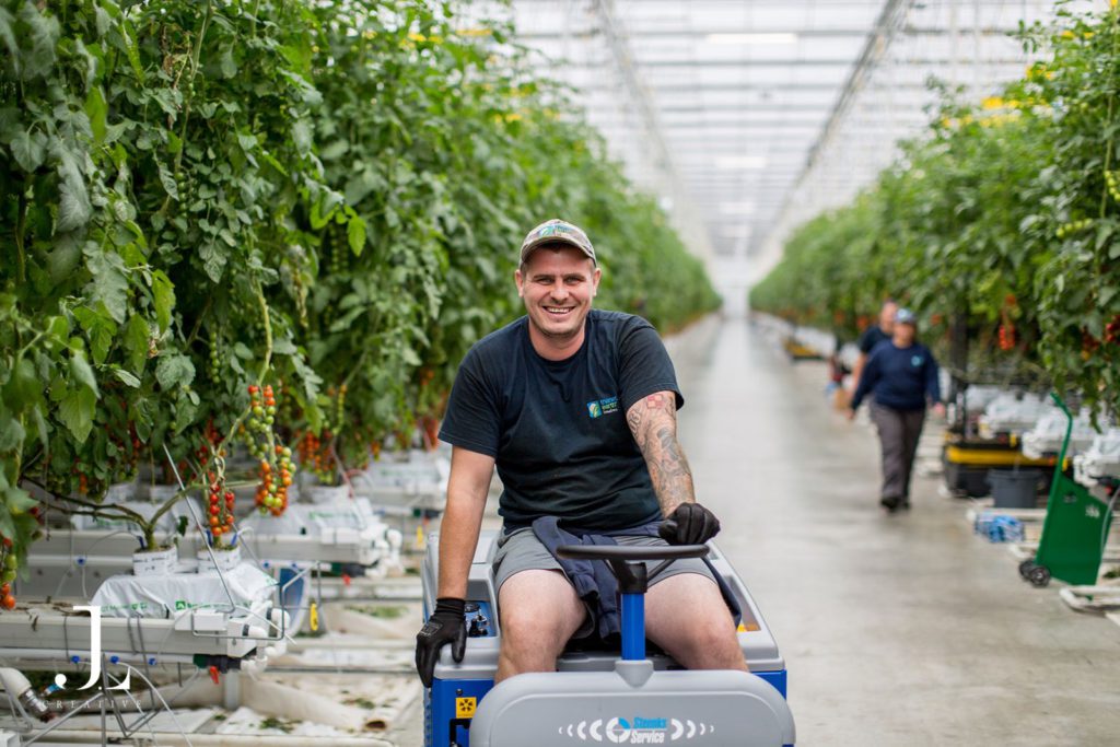 Thanet Earth greenhouse photography