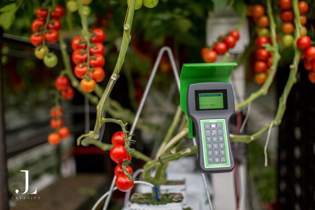 Thanet Earth greenhouse photography
