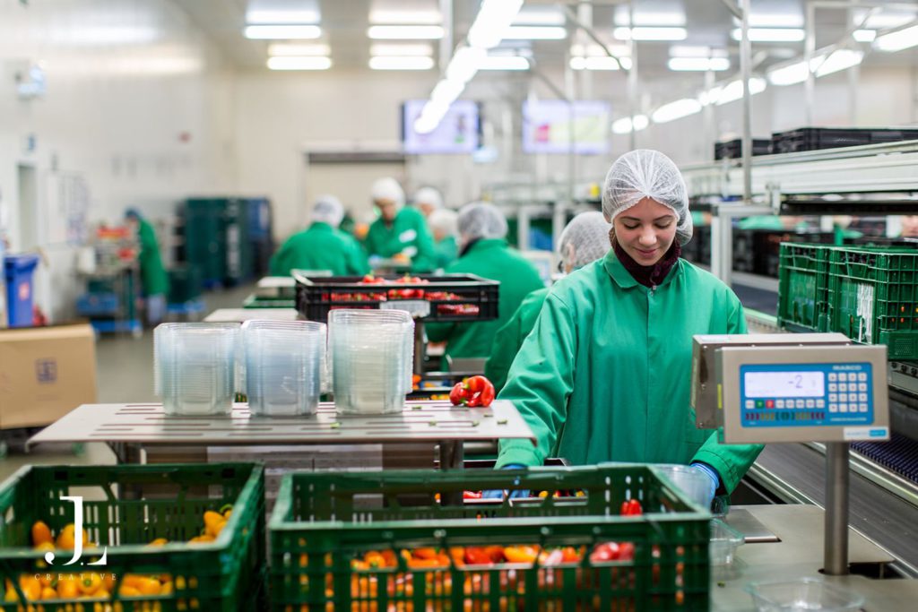 industrial food production photography UK