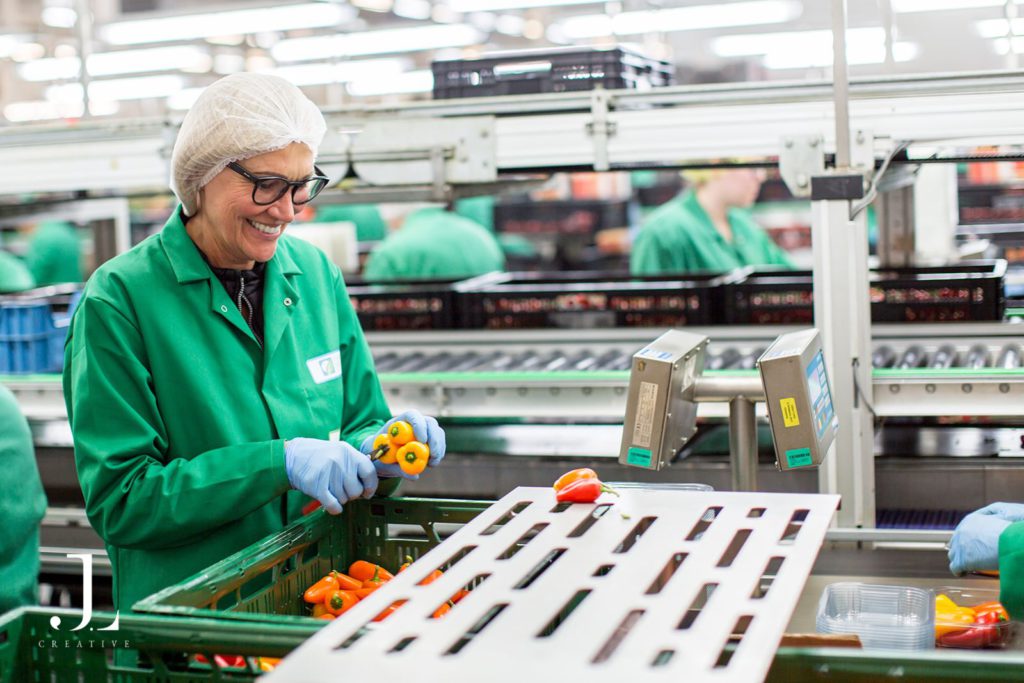 industrial food productionThanet Earth Kent photography photography UK