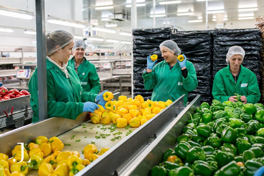 industrial food production photography UK