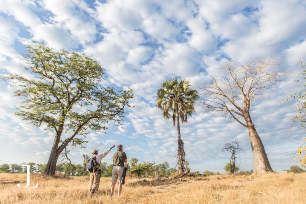 Bush walk experience in the Malawi safari landscape
