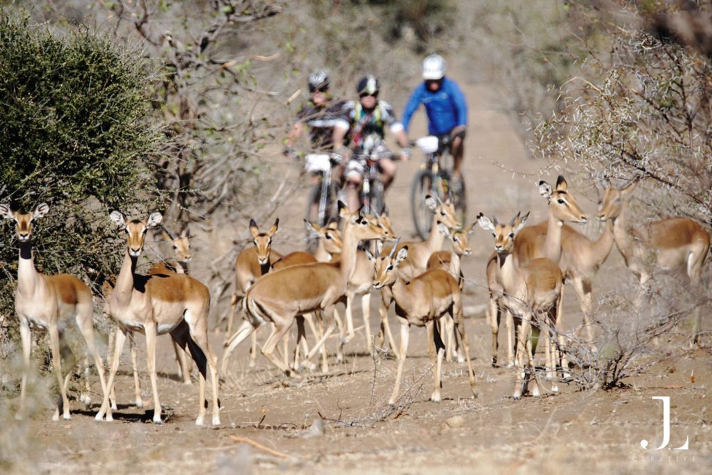 Africa adventure cycling
