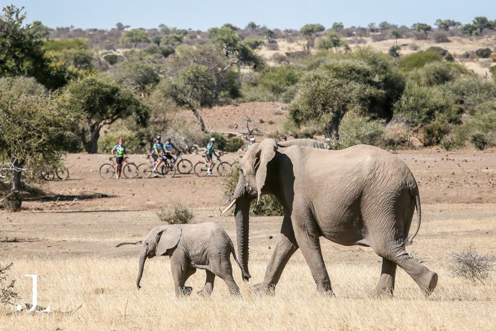 Africa adventure cycling