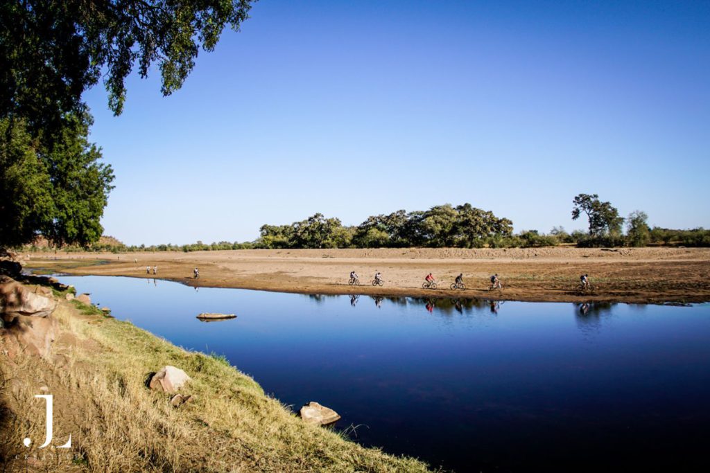 mountain biking Africa wildlife
